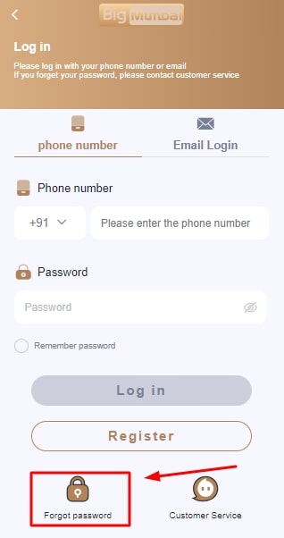 click on the “Forget Password” tab