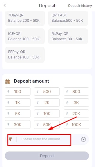 enter the payment you wish to deposit