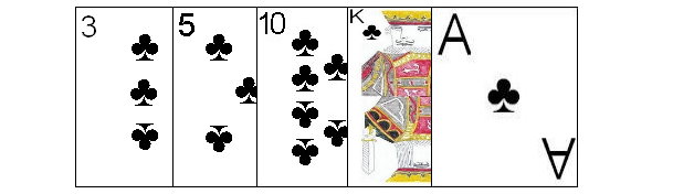 Flush combination Flush combination