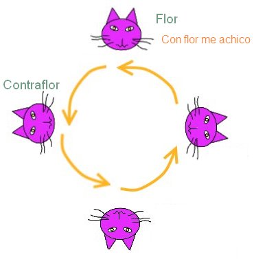 Example of Truco Flor Example of Truco Flor