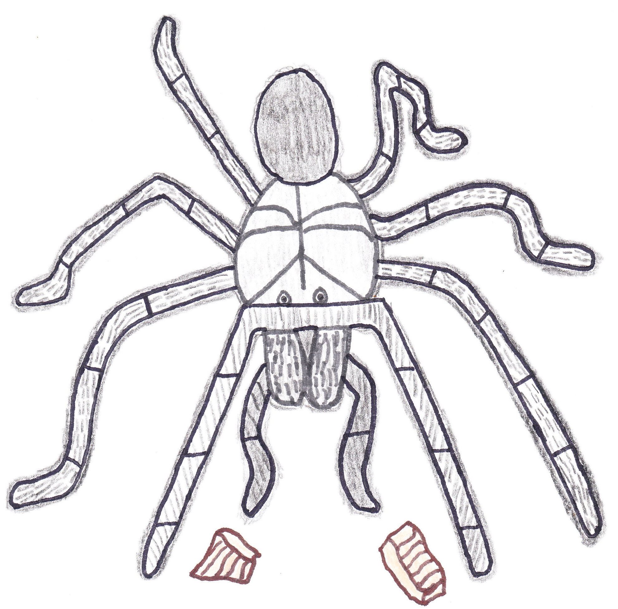 Let's play Spider Solitaire Let's play Spider Solitaire