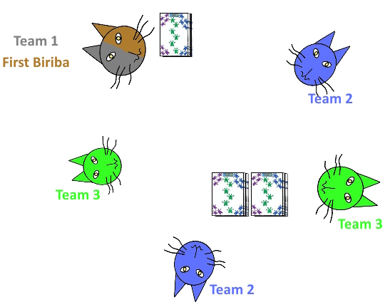 Teams in Five Player Biriba