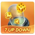 24
