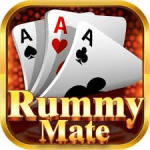 rummy-mate-icon